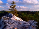 Shining Rock Wilderness, NC