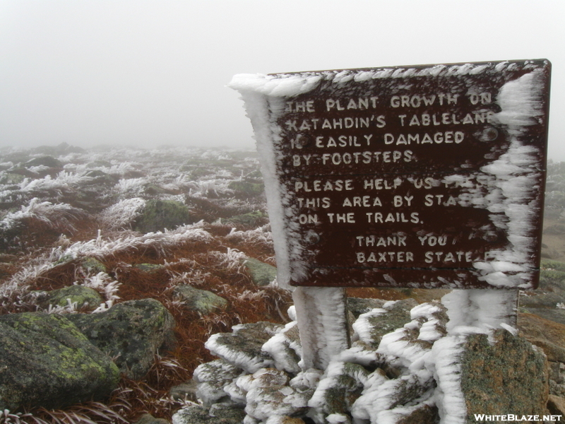 Frozen Sign