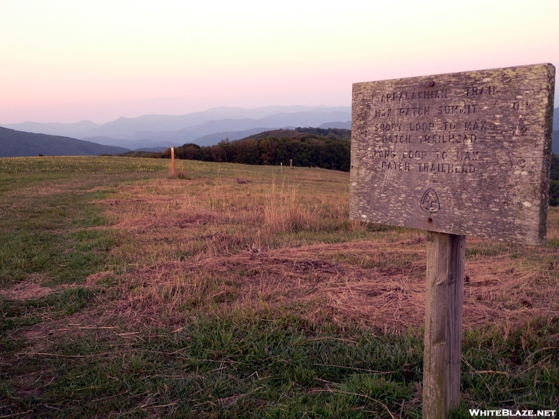 Max Patch