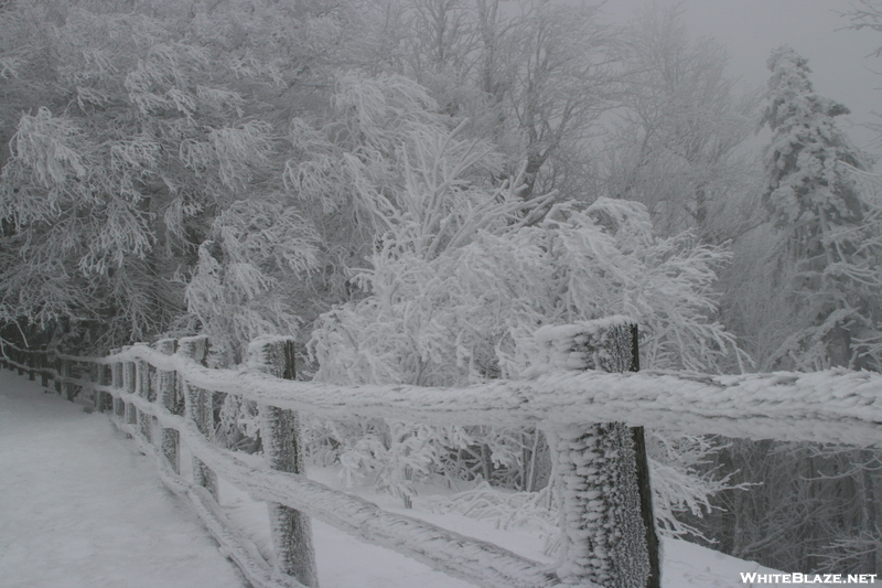 Newfound Gap