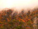 Fall in the Smokies by Ramble~On in Views in North Carolina & Tennessee