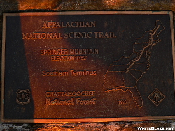 Springer Plaque