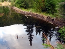 Beaver Dam by Ramble~On in Trail & Blazes in Maine