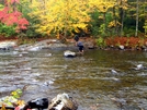 Ford In The 100 Mile Wilderness