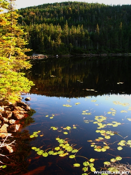 Speck Pond