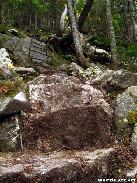 Maine's Jungle Gym