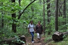 Day Hike Amicalola Falls