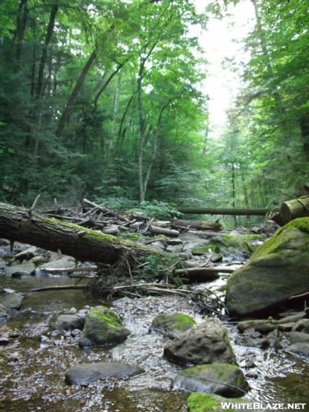 Water Source north of Kent