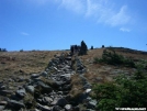 Above the Trees on Moosilauke