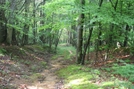 Green River Lake Trail