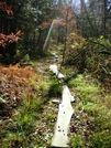 Appalachian Trail by rachaeljessica in Section Hikers