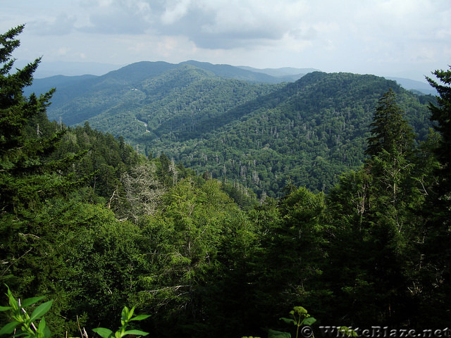 From Newfound Gap