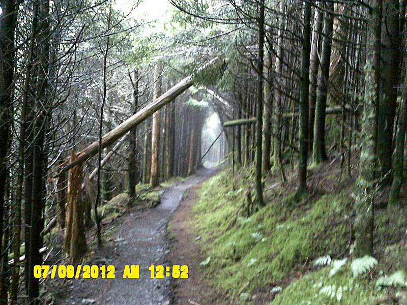 Clingman's Dome to Roan Mt., TN