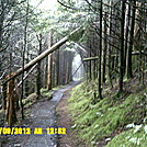 Clingman's Dome to Roan Mt., TN by tbmmoe in Section Hikers