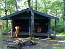 Georgia - Amicalola Falls To Dick's Creek Gap by tbmmoe in Tray Mountain Shelter