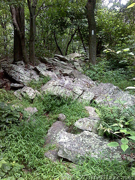 Rocks S of Rt 501 shelter