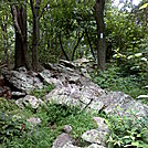 Rocks S of Rt 501 shelter