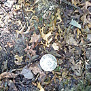 Survey Marker N of Rt.501??? by Spiffy in Trail & Blazes in Maryland & Pennsylvania