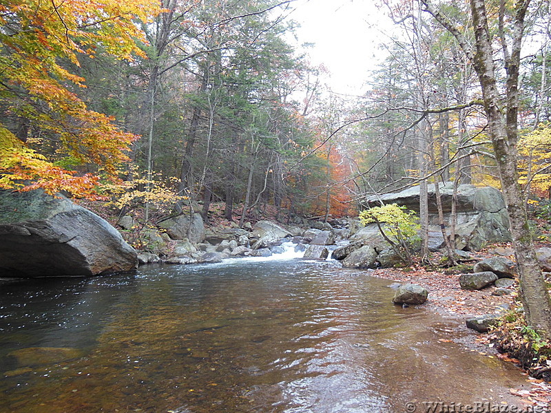 a day in harriman