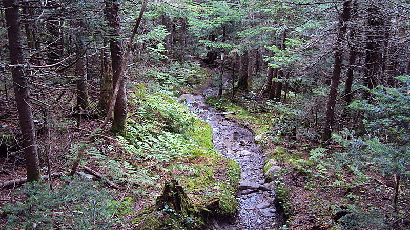 Mahoosuc trail