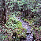 Mahoosuc trail