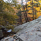 Harriman foliage by hikerboy57 in Views in New Jersey & New York