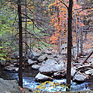 Harriman foliage