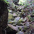 typical ankle breaking trail by hikerboy57 in Trail & Blazes in Maine