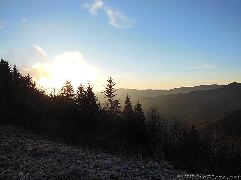 frosted dawn in the smokies