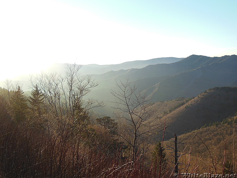 dawn in the smokies