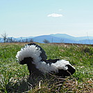 pepe at beauty spot by hikerboy57 in Trail Legends