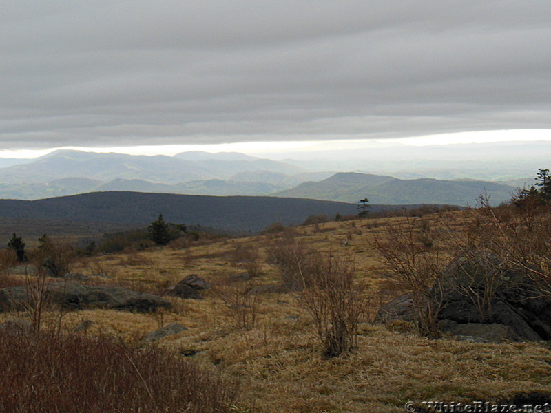 dawn off thomas knob