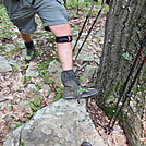 army ants new shoes by hikerboy57 in Thru - Hikers