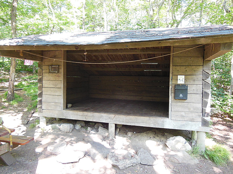 morgan stewart shelter