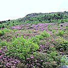 Grayson Highlands Hike