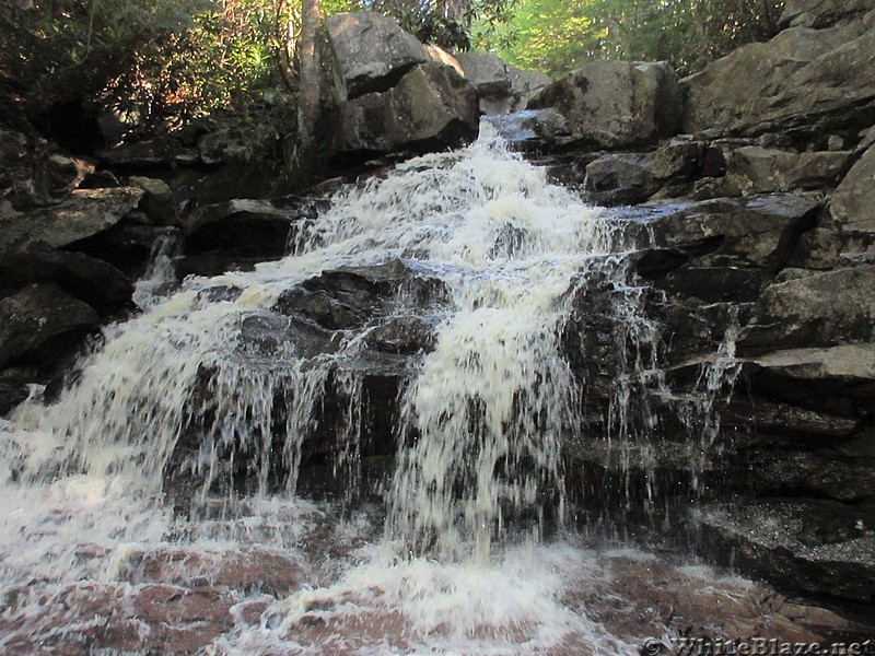 Dolly Sods WV