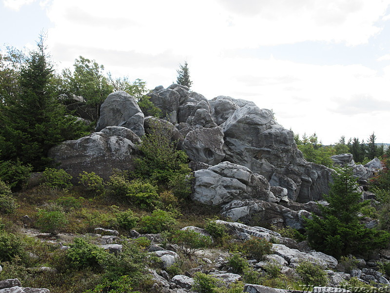 Dolly Sods Wind Blown Rocks