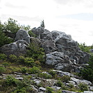Dolly Sods Wind Blown Rocks by Furlough in Views in Virginia & West Virginia