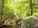 Falls and Pools #2 off of White Rocks Trail by Furlough in Trail & Blazes in Virginia & West Virginia