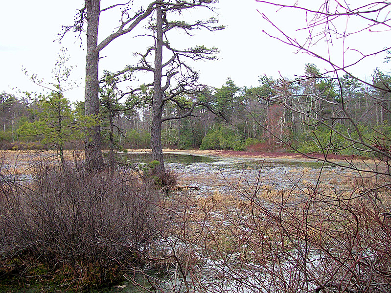 St Mary's Circuit Hike