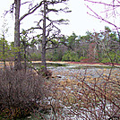 St Mary's Circuit Hike