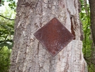 Old At Marker Between Simmons Gap And High Top Hut