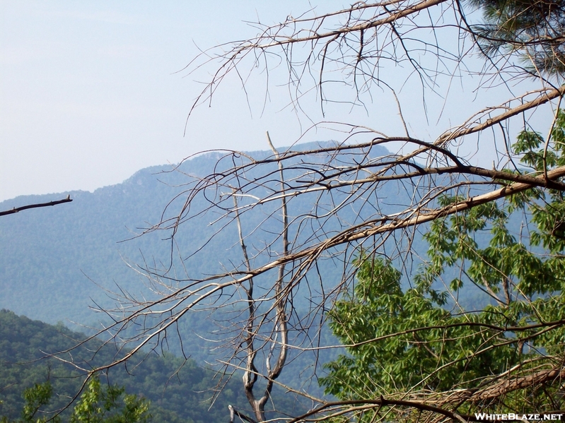 Old Rag from Hot Short Mtn Trail