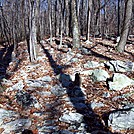 Nov 2011 Front Royal to Harpers Ferry