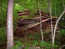 Rough Sawn American Chestnut Boards by Furlough in Views in Virginia & West Virginia