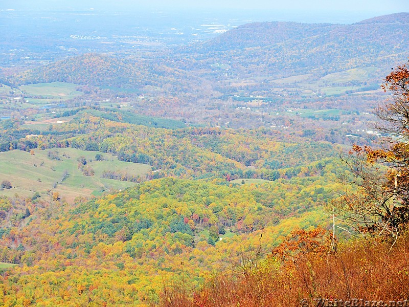 Shenandoah Autumn