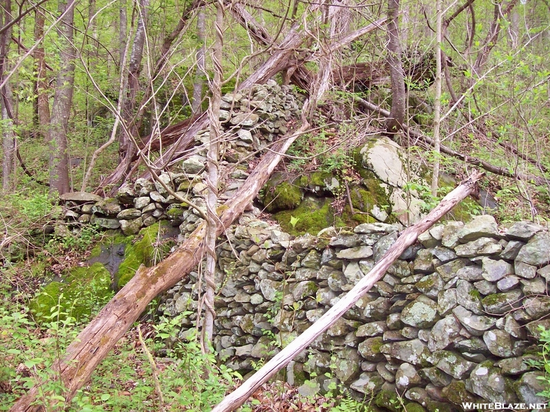 Stone Wall And Terracing Off Of Thorton River Trail 5-1-09