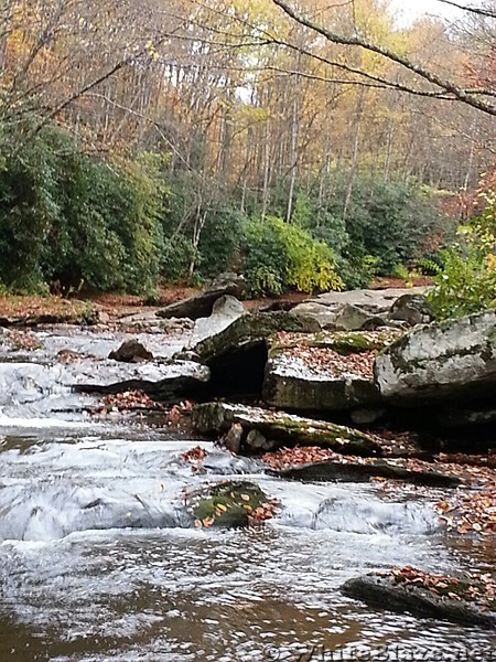 Tea Creek Wilderness in WVA