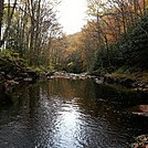 Tea Creek Wilderness in WVA