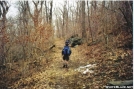 Skyblue between Rockfish Gap and McCormick Gap by Teatime in Section Hikers